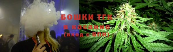 дживик Бронницы
