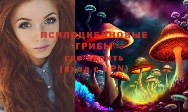 мдпв Богданович