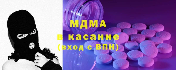 индика Бородино