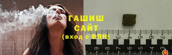 прущие грибы Богородицк