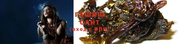 spice Богородск