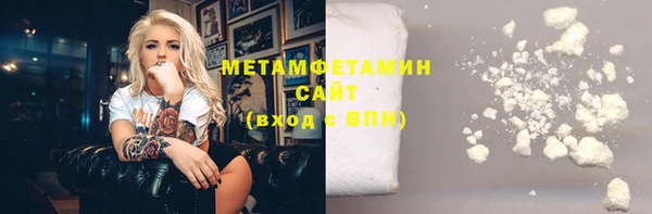 индика Бородино