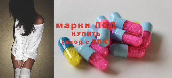 spice Богородск