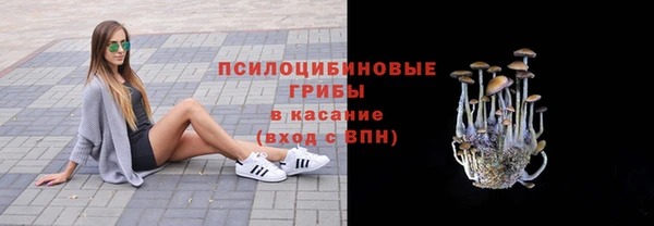 spice Богородск