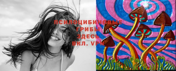 мдпв Богданович