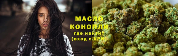 индика Бородино
