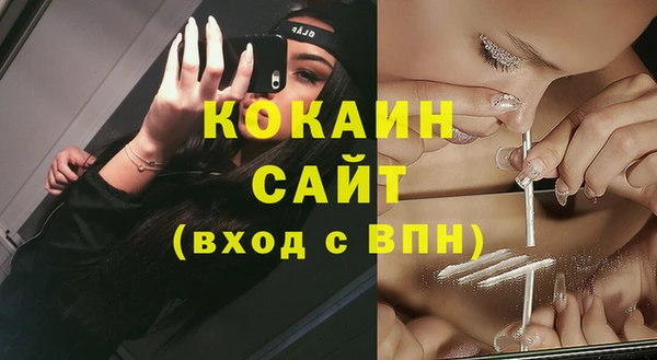 индика Бородино